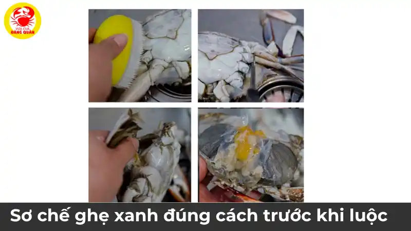 Hướng dẫn các bước sơ chế ghẹ xanh, từ việc chọn ghẹ sống, dùng bàn chải chà sạch vỏ đến khi ghẹ sẵn sàng để luộc.