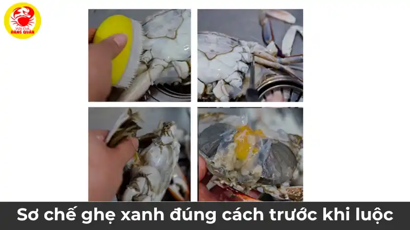 Quy trình sơ chế ghẹ xanh cho công thức ghẹ hấp bia, từ khâu chuẩn bị nguyên liệu đến thành phẩm thơm ngon.