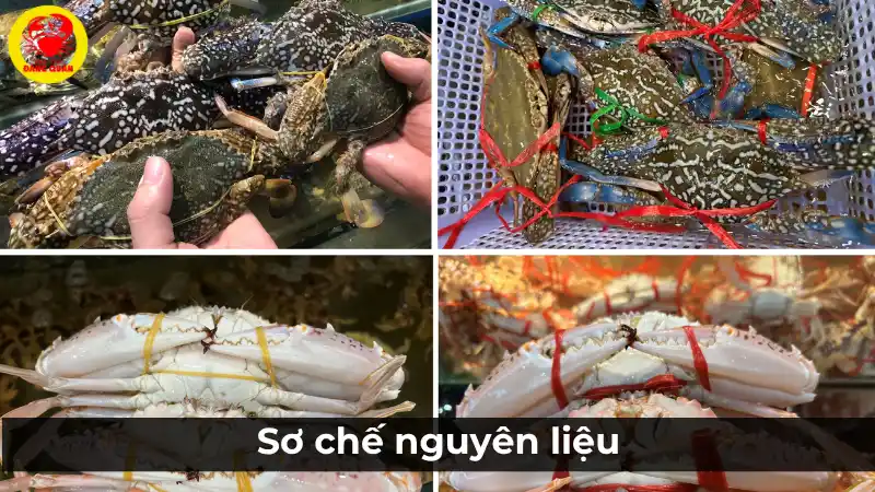 Quy trình sơ chế và chuẩn bị nguyên liệu cho công thức ghẹ xanh hấp, từ ghẹ tươi sống đến thành phẩm thơm ngon.