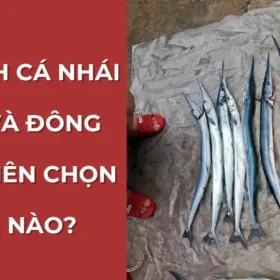 Cận cảnh xương cá nhái màu xanh đặc trưng, giải đáp câu hỏi cá nhái là cá gì