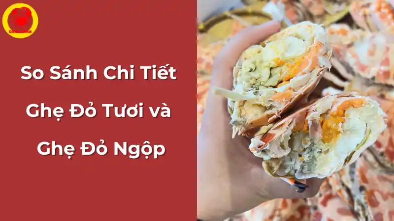 So sánh chi tiết ghẹ đỏ tươi và ghẹ đỏ ngộp