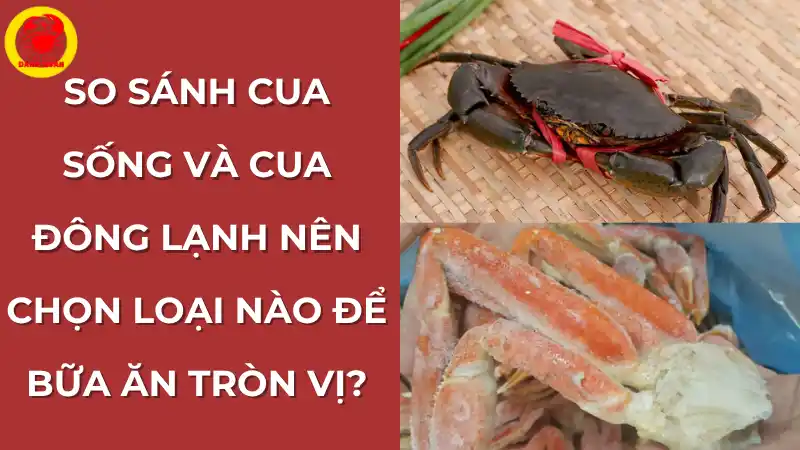 So sánh cua sống và cua đông lạnh – Nên chọn loại nào để bữa ăn trọn vị?