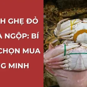 So sánh ghẹ đỏ tươi và ghẹ ngộp: Bí quyết chọn mua thông minh.