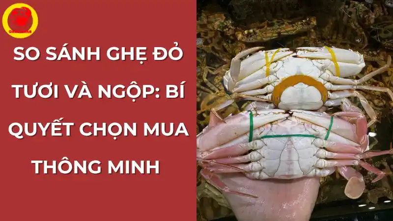 So sánh ghẹ đỏ tươi và ghẹ ngộp: Bí quyết chọn mua thông minh.