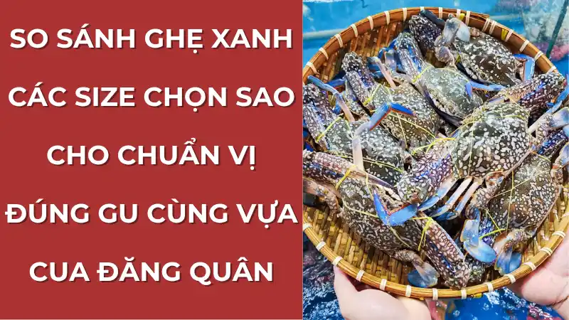 So sánh ghẹ xanh các size khác nhau, từ ghẹ nhỏ đến ghẹ lớn, để chọn được loại phù hợp nhất.