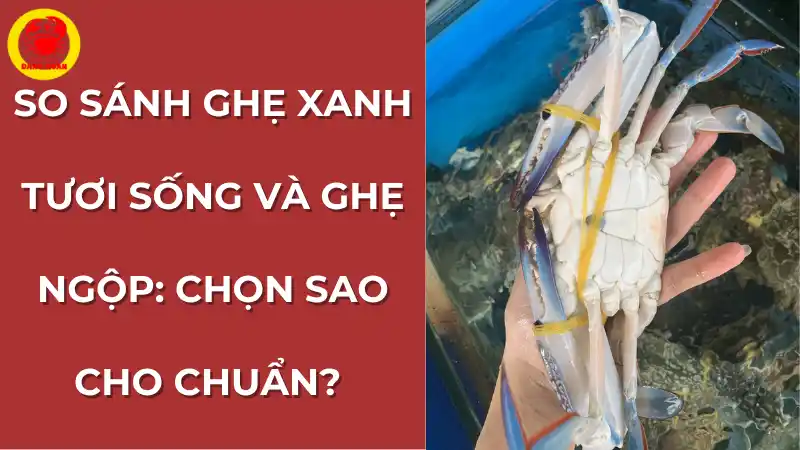 So sánh ghẹ xanh tươi sống và ghẹ ngộp để người tiêu dùng biết cách chọn ghẹ ngon, an toàn.