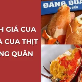 So sánh giá cua gạch và cua thịt tại Vựa Cua Đăng Quân