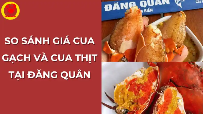 So sánh giá cua gạch và cua thịt tại Vựa Cua Đăng Quân