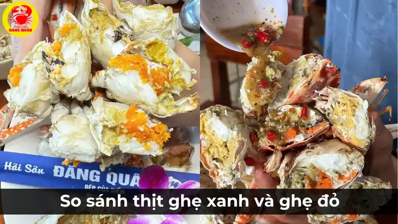 So sánh chất lượng thịt ghẹ xanh và ghẹ đỏ sau khi hấp: thịt ghẹ xanh trắng, chắc nịch so với thịt ghẹ đỏ