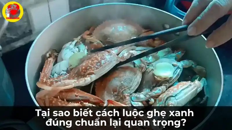 Ghẹ xanh đang được luộc trong nồi để minh họa cho tầm quan trọng của việc biết cách luộc ghẹ xanh đúng cách.