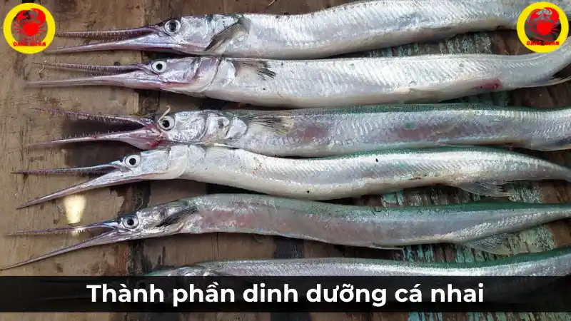 Các thành phần dinh dưỡng có trong cá nhái tươi, bao gồm protein, Omega-3 và vitamin