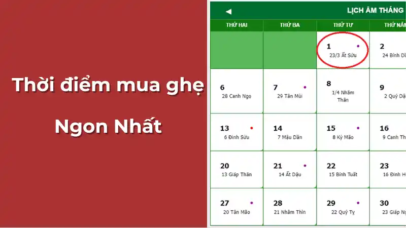 Minh họa thời điểm mua ghẹ xanh ngon nhất theo lịch âm, nên mua vào đầu hoặc cuối tháng.