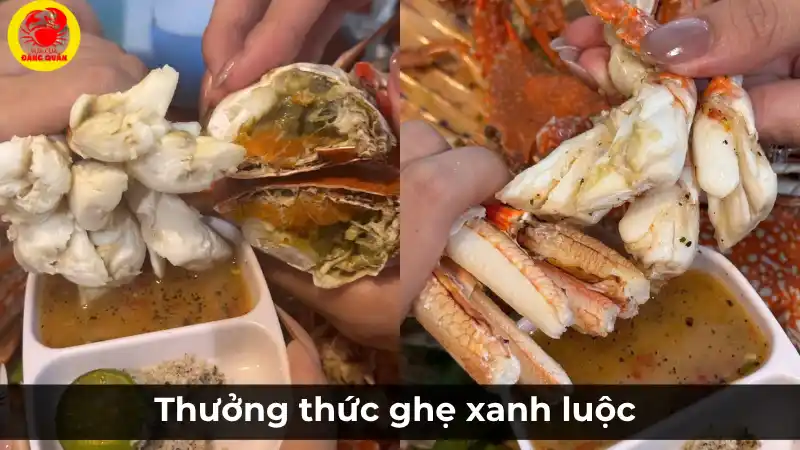 Hướng dẫn cách thưởng thức ghẹ xanh luộc, với hình ảnh thịt ghẹ trắng ngần, chắc nịch đang được chấm vào chén nước chấm.