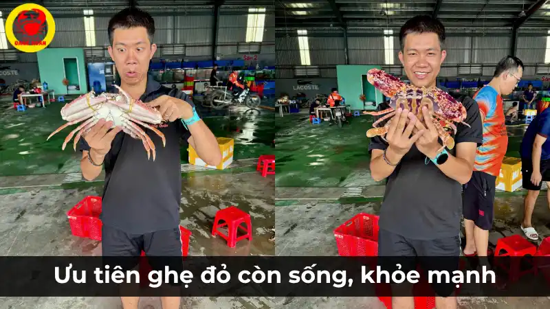 Ưu tiên chọn mua ghẹ đỏ còn sống và khỏe mạnh