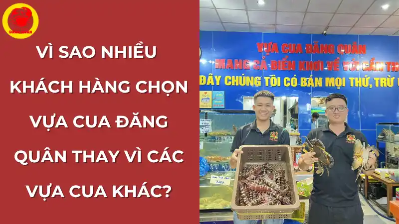 Vì sao nhiều khách hàng chọn Vựa Cua Đăng Quân – Uy tín, chất lượng, giao nhanh
