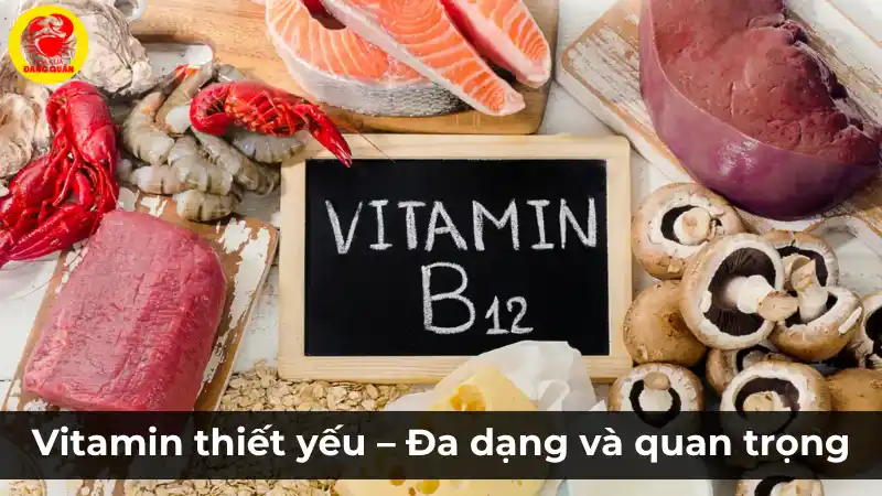 Vitamin thiết yếu: Đa dạng và quan trọng cho sức khỏe