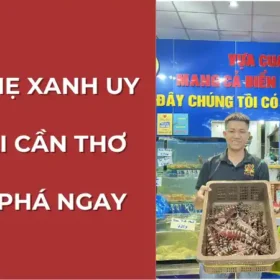 Vựa Cua Đăng Quân, địa chỉ vựa ghẹ xanh uy tín tại Cần Thơ, cam kết chất lượng và dịch vụ khách hàng chuyên nghiệp.