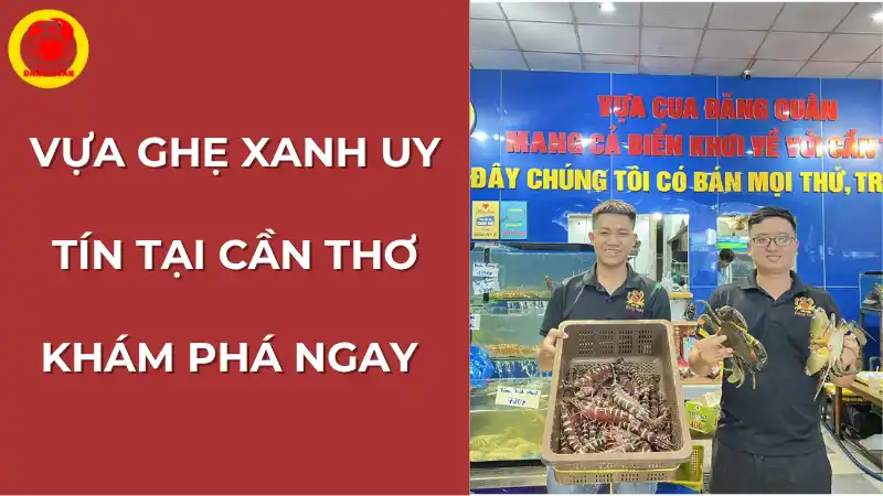 Vựa Cua Đăng Quân, địa chỉ vựa ghẹ xanh uy tín tại Cần Thơ, cam kết chất lượng và dịch vụ khách hàng chuyên nghiệp.