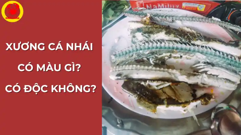 Cận cảnh xương cá nhái màu xanh tự nhiên, hoàn toàn không độc hại, phần thịt cá trắng ngon