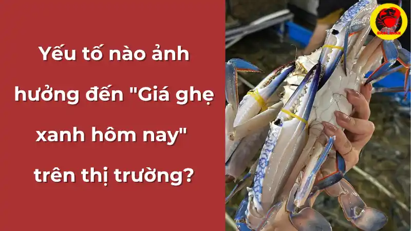 Các yếu tố ảnh hưởng đến giá ghẹ xanh trên thị trường