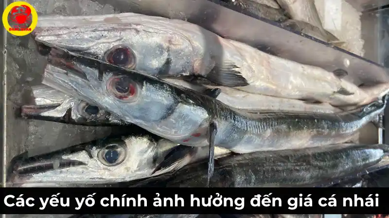 Nội dung bạn nên điền:Các yếu tố chính ảnh hưởng đến giá cá nhái hôm nay, bao gồm độ tươi và kích thước
