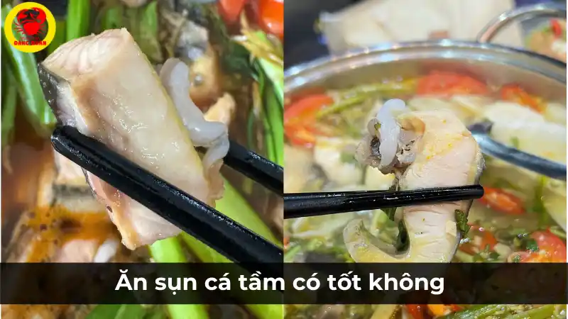 Ăn sụn cá tầm có tốt không? Lợi ích sức khỏe từ sụn cá tầm.