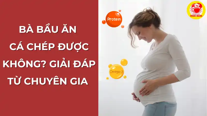 Bà bầu ăn cá chép được không? Giải đáp từ chuyên gia.