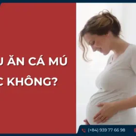 Bà bầu ăn cá mú được không? Giải đáp chi tiết.