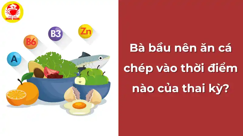 Bà bầu nên ăn cá chép vào thời điểm nào của thai kỳ?