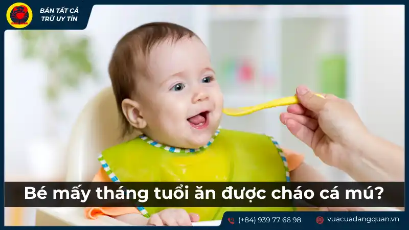 Bàn tay người lớn đang đút cháo cá mú cho em bé, thể hiện sự quan tâm và việc cho bé ăn dặm.