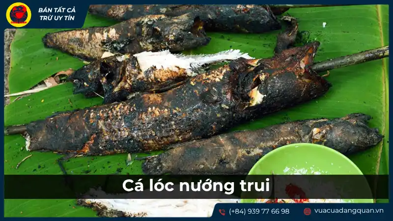Cá lóc nướng trui thơm lừng, thịt cá săn chắc, đậm đà hương vị đồng quê