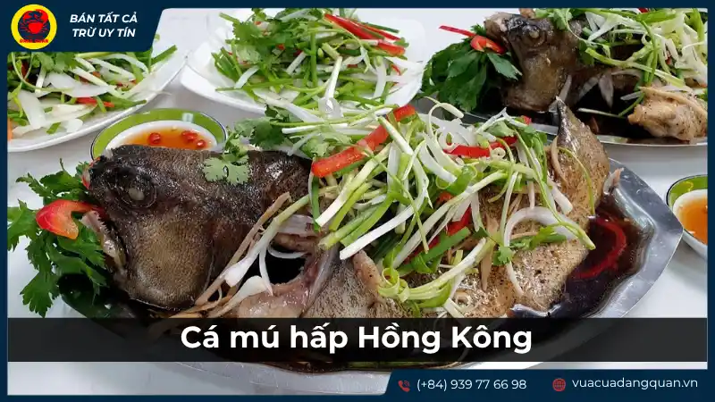 Món cá mú hấp Hồng Kông thơm ngon, chuẩn vị. Món cá mú hấp Hồng Kông thơm ngon, chuẩn vị.