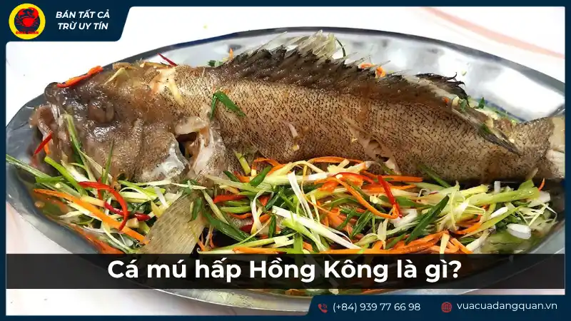 Món cá mú hấp Hồng Kông nguyên con được trình bày đẹp mắt, có rau sống và gia vị đi kèm.