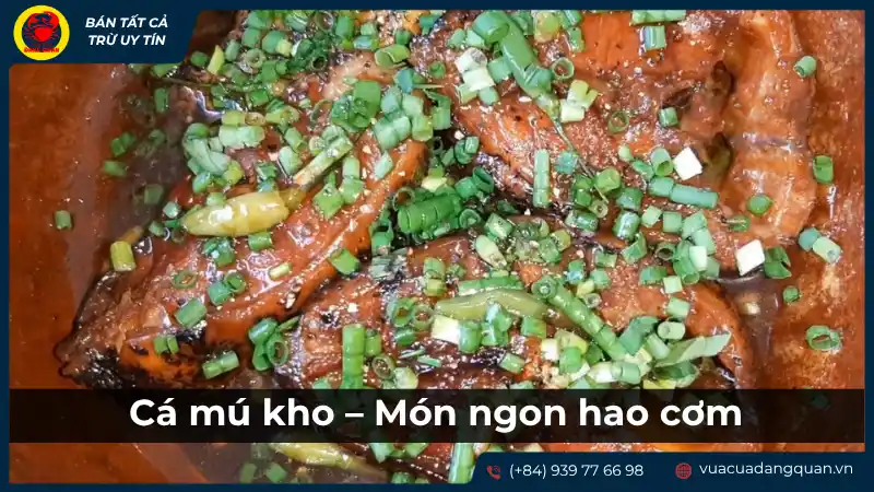 Món cá mú kho tiêu hoặc kho riềng, được trình bày trong niêu đất hoặc đĩa, có rắc hành lá hoặc ớt, gợi cảm giác đậm đà, hao cơm.