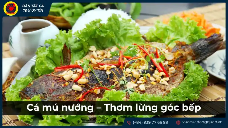 Món cá mú nướng được trình bày hấp dẫn, có thể kèm theo rau sống hoặc các loại gia vị.