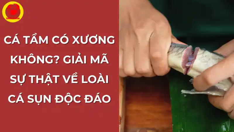 Cá tầm có xương không? Giải mã sự thật về loài cá sụn độc đáo.