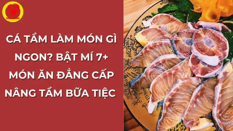 Cá tầm làm món gì ngon? Top 5 món ăn đẳng cấp nâng tầm bữa tiệc.
