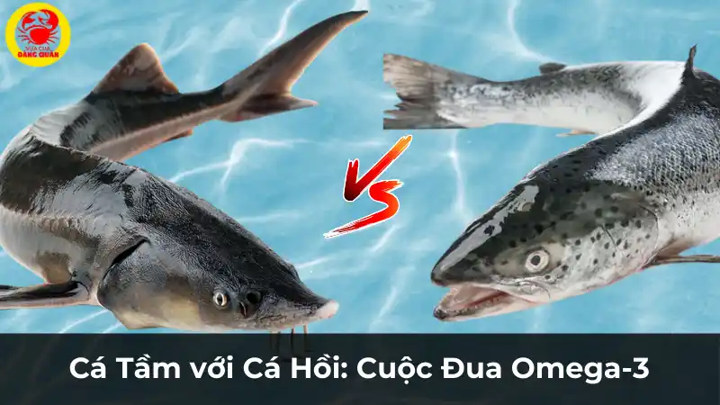 Cá tầm và cá hồi: Cuộc đua Omega-3 về giá trị dinh dưỡng.
