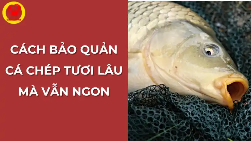 Cách bảo quản cá chép tươi lâu mà vẫn ngon