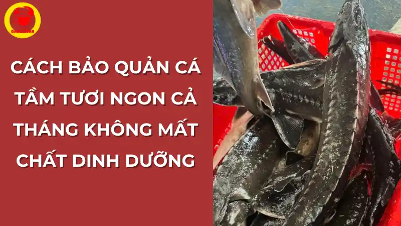 Cách bảo quản cá tầm tươi ngon không mất dinh dưỡng.