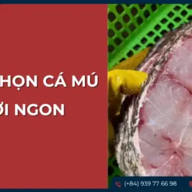 Miếng phi lê cá mú tươi ngon với màu sắc tự nhiên, minh họa cách chọn cá mú tươi ngon.
