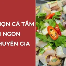 Cách chọn cá tầm tươi ngon như chuyên gia tại Vựa Cua Đăng Quân.