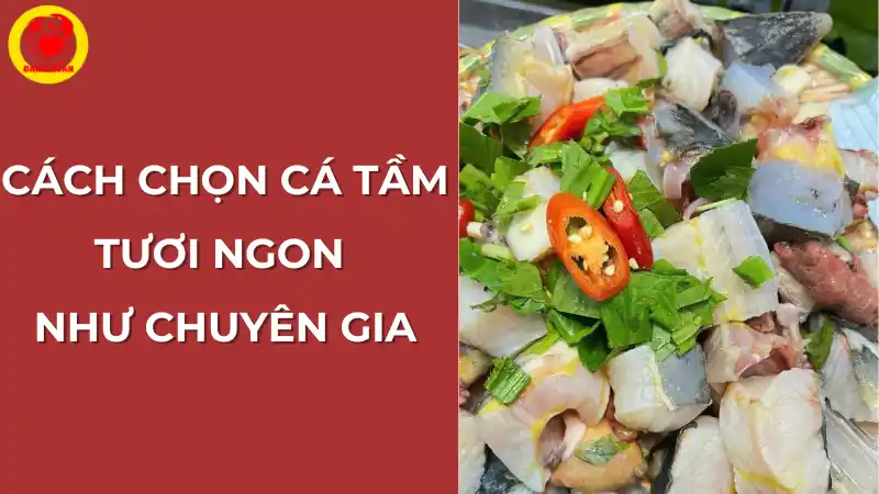 Cách chọn cá tầm tươi ngon như chuyên gia tại Vựa Cua Đăng Quân.