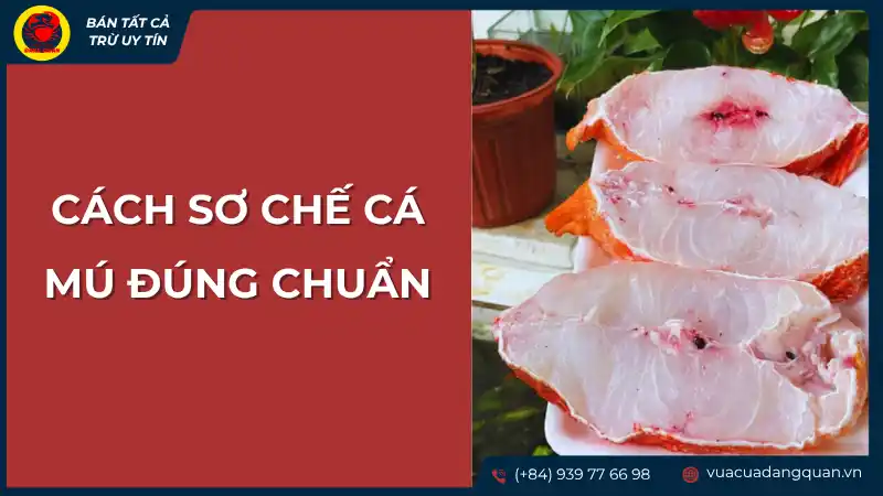 Phi lê cá mú tươi sống được bày trên đĩa, minh họa cho việc sơ chế cá mú đúng chuẩn.