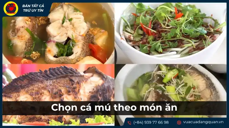 Cách chọn cá mú theo món ăn: Gợi ý các loại cá mú phổ biến.