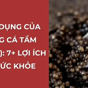 Công dụng của trứng cá tầm Caviar: Lợi ích sức khỏe.