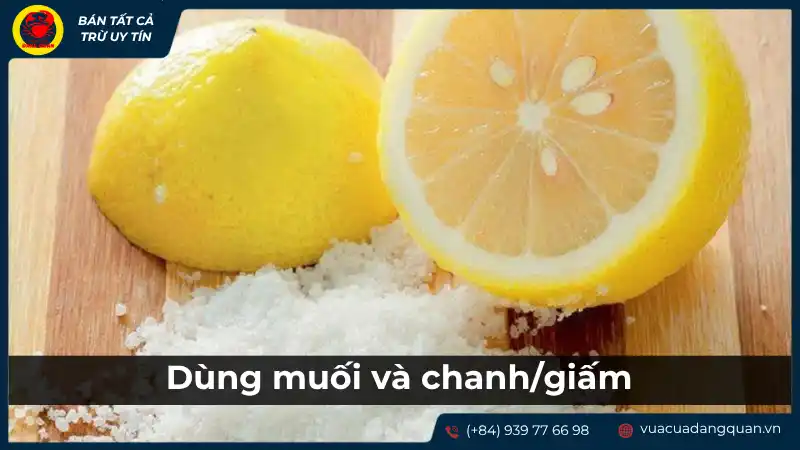 Muối và chanh tươi được đặt cạnh nhau, minh họa nguyên liệu dùng để khử mùi tanh cá mú.