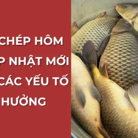 Giá cá chép hôm nay: Cập nhật mới nhất và các yếu tố ảnh hưởng.