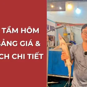 Giá cá tầm hôm nay: Bảng giá và phân tích chi tiết tại Vựa Cua Đăng Quân.