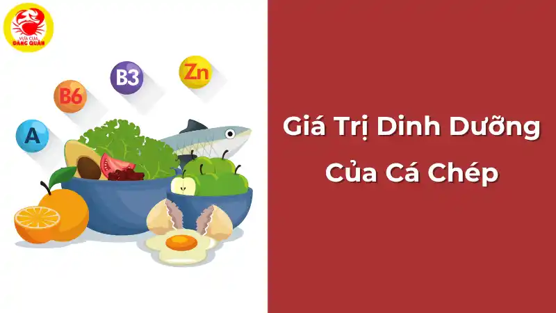 Giá trị dinh dưỡng của cá chép: Tổng quan và lợi ích